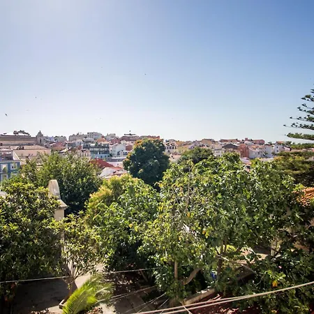 Charming One-bedroom Principe Real | By Airnest Appartamento *